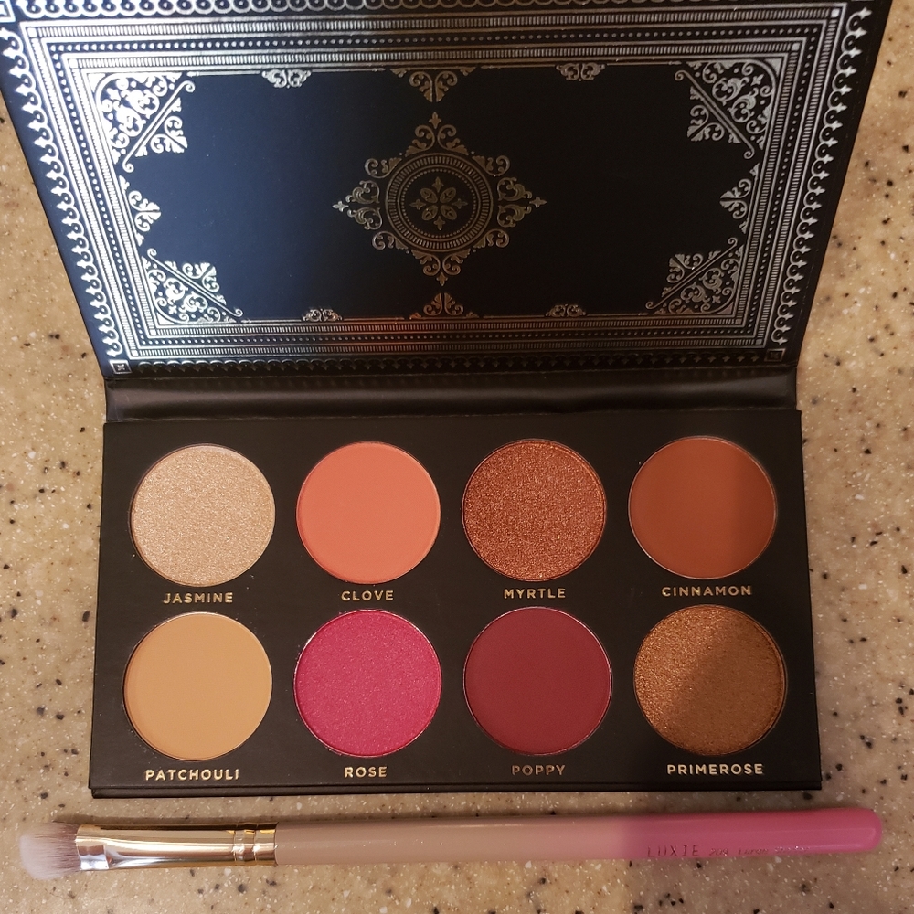 NWT Ace Beaute Grandiose Palette and Brush